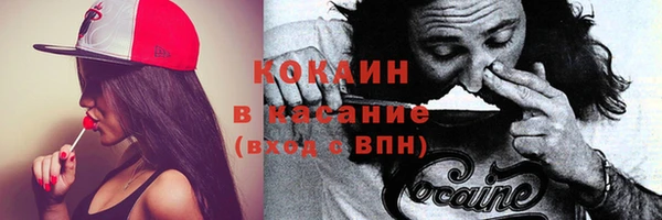 дмт Абаза