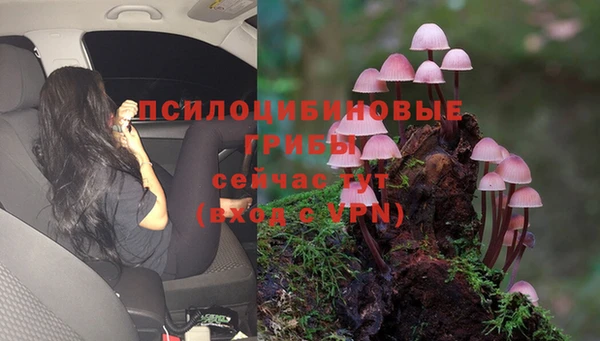 дмт Абаза
