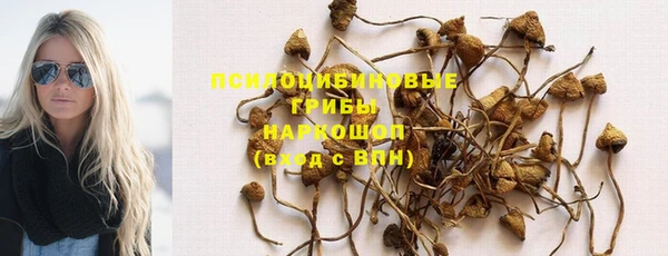 индика Алзамай