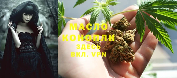 дмт Абаза