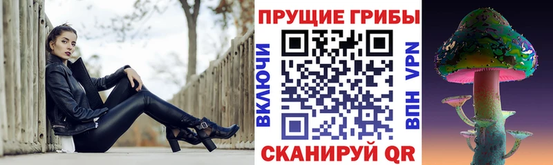 даркнет телеграм  Катайск  Псилоцибиновые грибы прущие грибы 